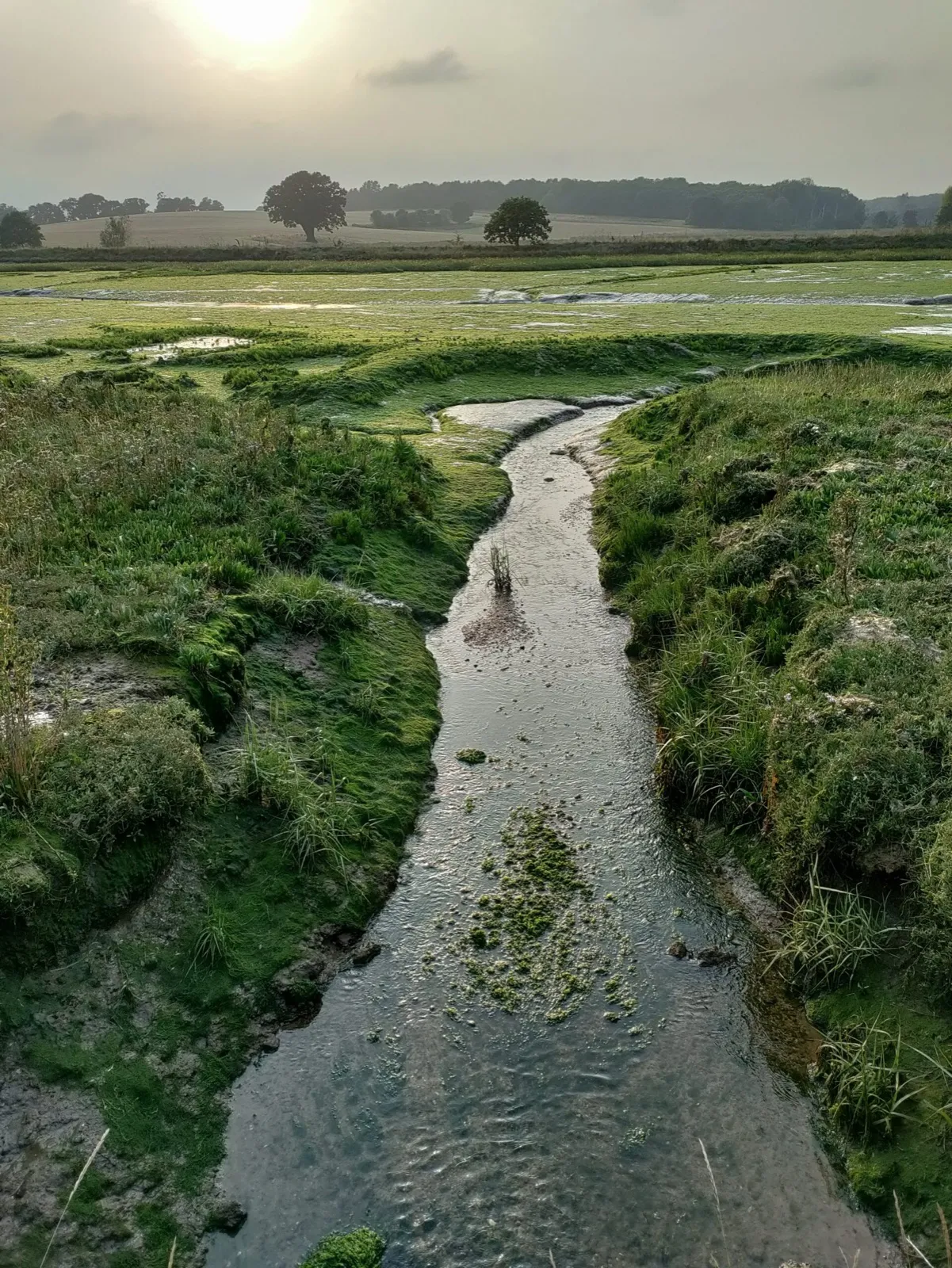 River Orwell