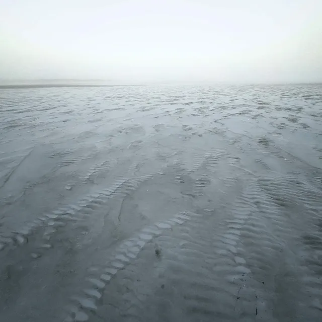 Wadden Sea view from Terschelling