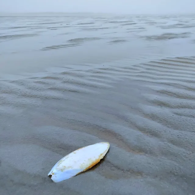 Terschelling in winter