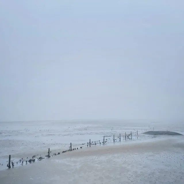 The sandy coast of Terschelling