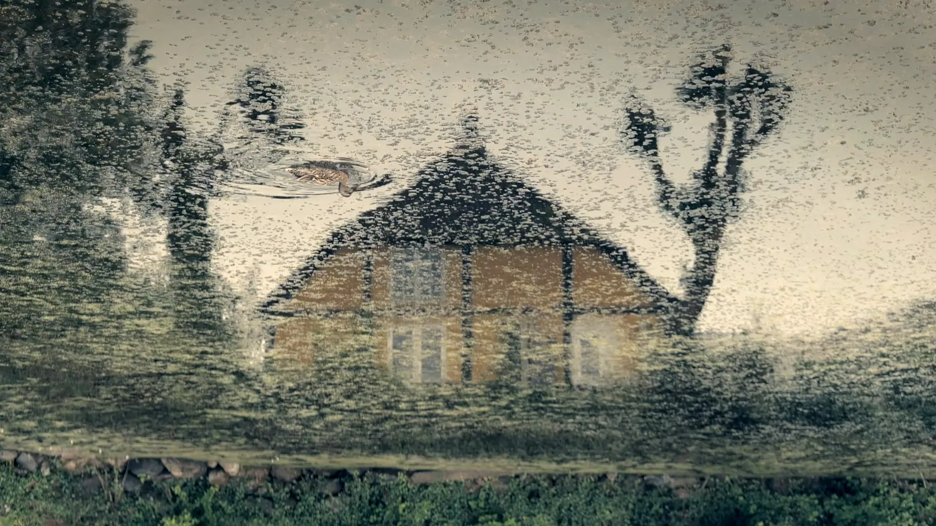 Lyø