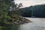 A Coelacanth in Stockholm