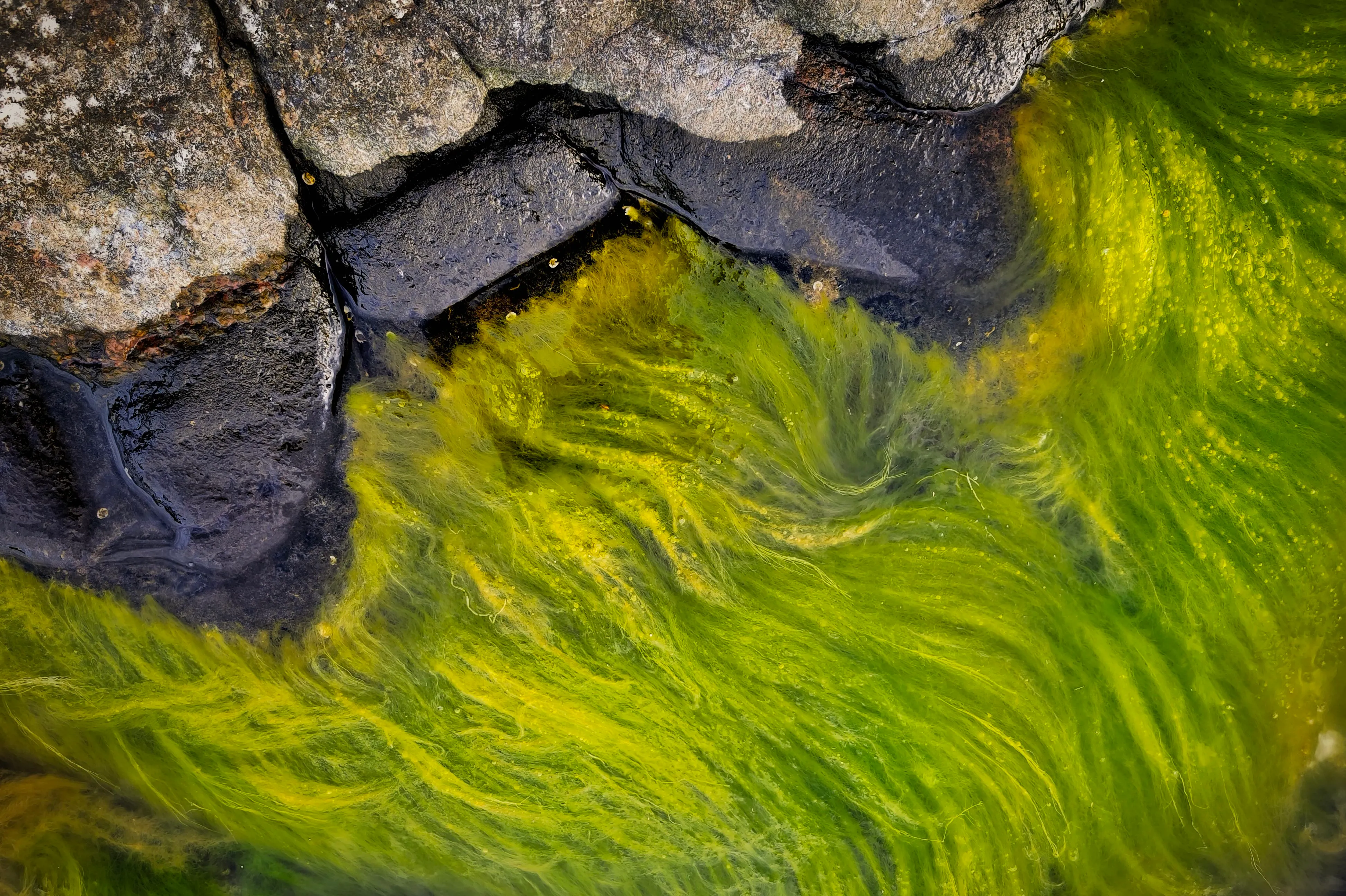 Where rock meets sea.