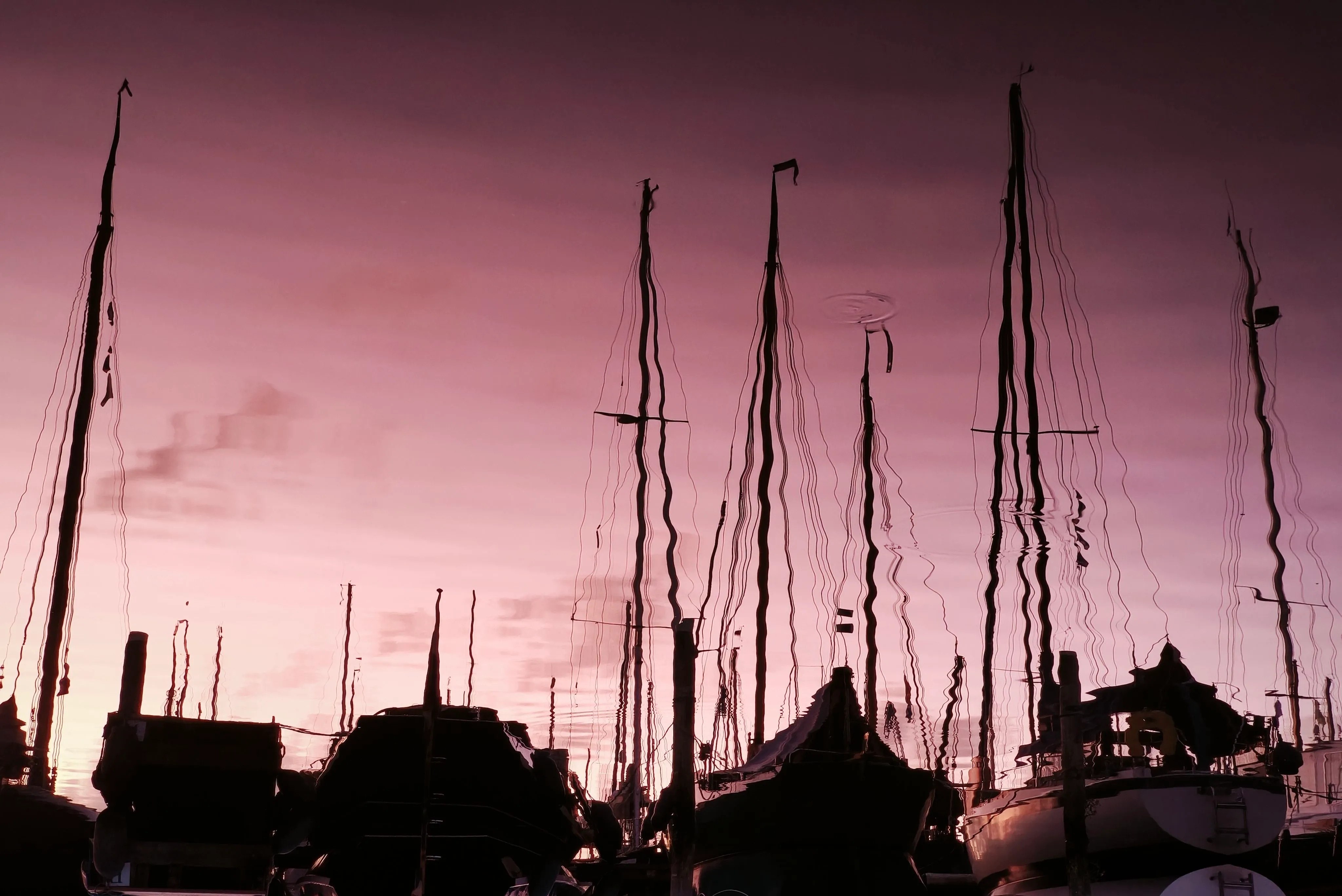 The evening after the passage, near the Lauwersmeer.